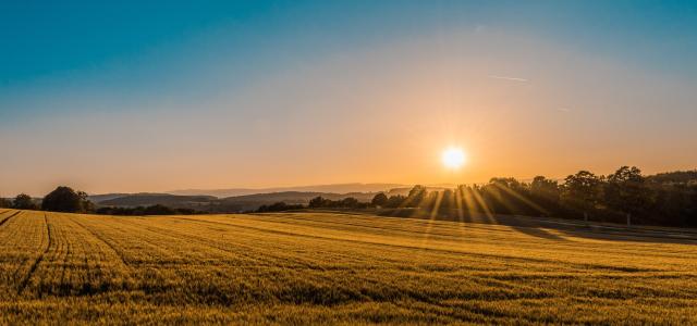 Farmland