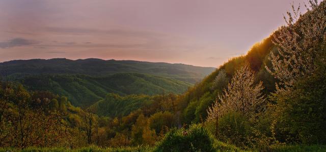 Mountains